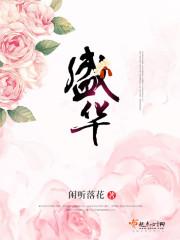 盛华化工有限公司简介小说封面 - 李夏苏叶著都市小说作品