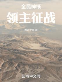 全民神祗流小说封面 - 苏星宇著网游小说作品