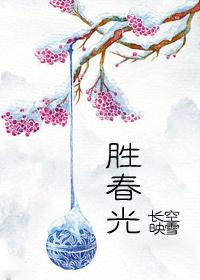 上联步步登高开视野下联年年重九胜春光小说封面 - 姚仪杨宛著重生穿越作品