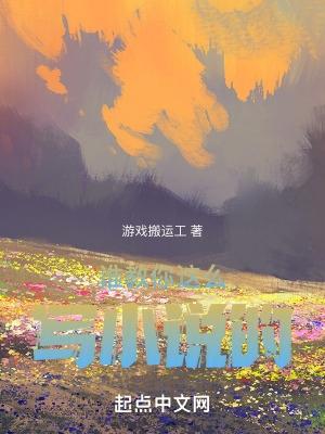 怎样写的小说封面 - 游戏搬运工著科幻小说作品