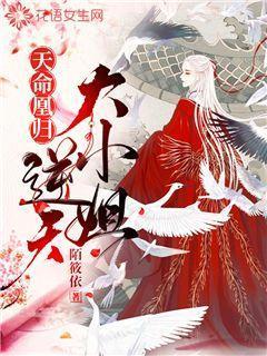 天命凤凰逆天六小姐小说封面 - 墨羽魏长老著其他小说作品