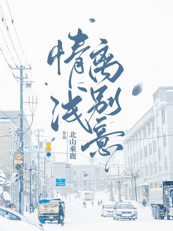 情深离别小说封面 - 许念许怀著其他小说作品