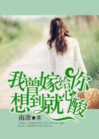 我曾嫁给你想到就心酸小说封面 - 苏冉宋维希著都市小说作品