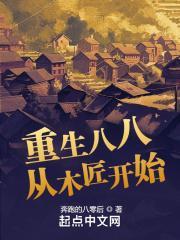 重生八八从木匠开始百度百科小说封面 - 吴远杨落雁著其他小说作品