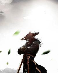 捕蝴蝶秦三见讲的什么小说封面 - 凌野秦三著其他小说作品