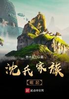 沈氏家族崛起全文免费阅读小说封面 - 沈裕苍沈焕驰著重生穿越作品