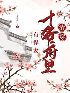 穿成草包十爷的凶悍嫡福晋小说封面 - 诺敏福晋著其他小说作品