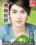 贵族农民小说封面 - 沈轩冯一一著都市小说作品