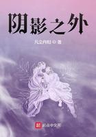 阴影之外小说封面 - 章叶青莲著玄幻修真作品