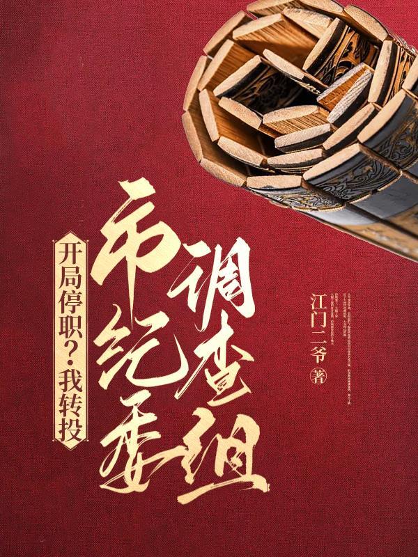 权力巅峰：从借调市纪委开始小说封面 - 江门二爷著都市小说作品